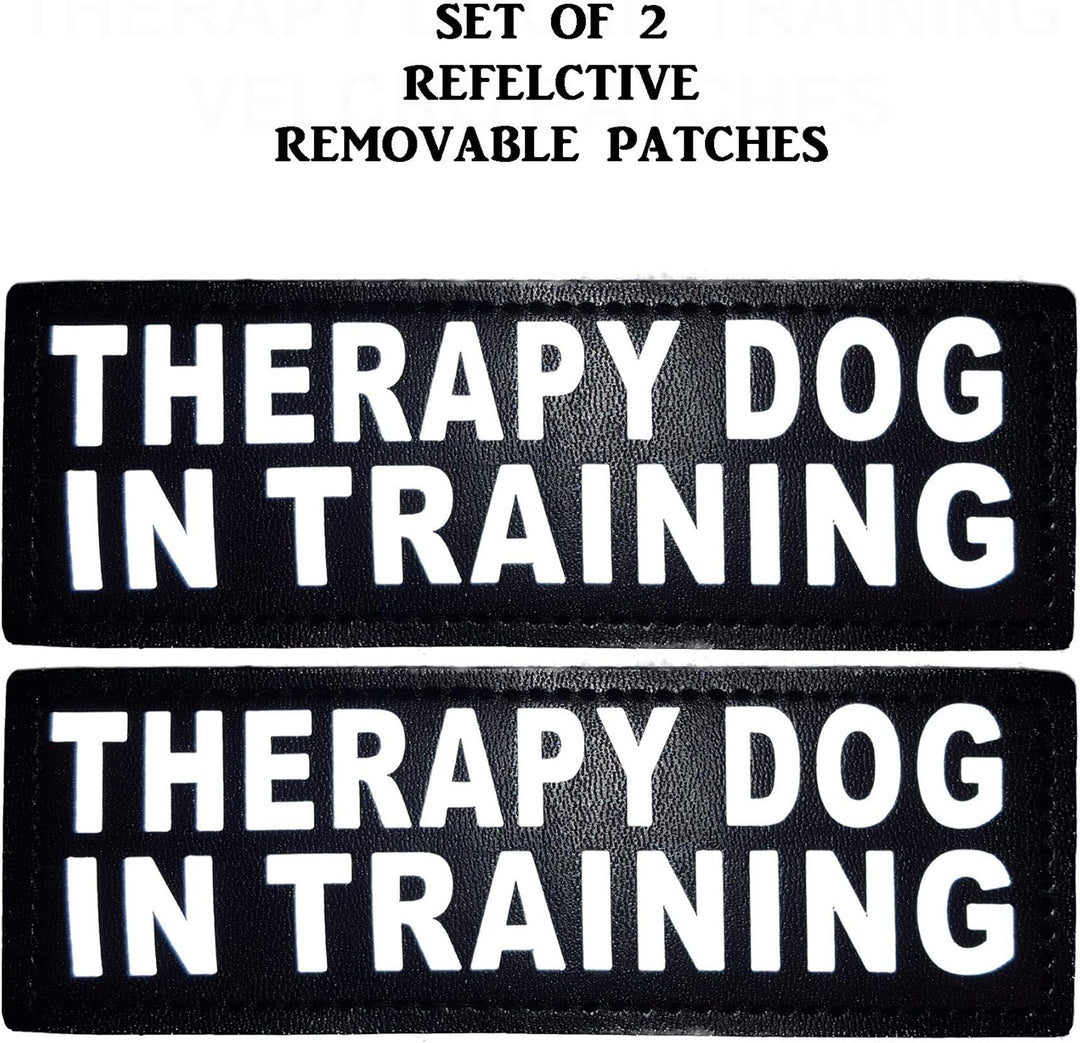 Therapie Hund in Training Nylon Hundegeschirr Hundegeschirr Kauf kommt mit 2 reflektierenden Therapi