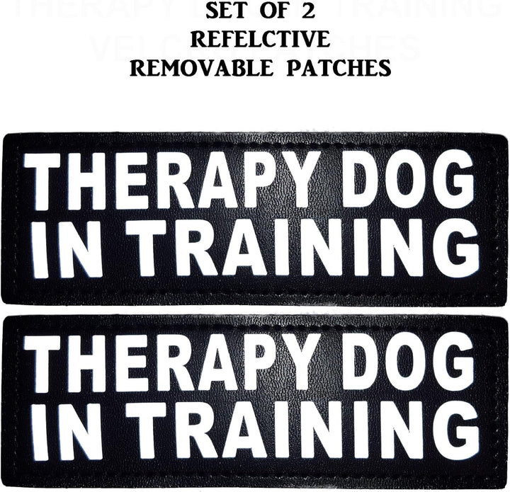 Therapie Hund in Training Nylon Hundegeschirr Hundegeschirr Kauf kommt mit 2 reflektierenden Therapi