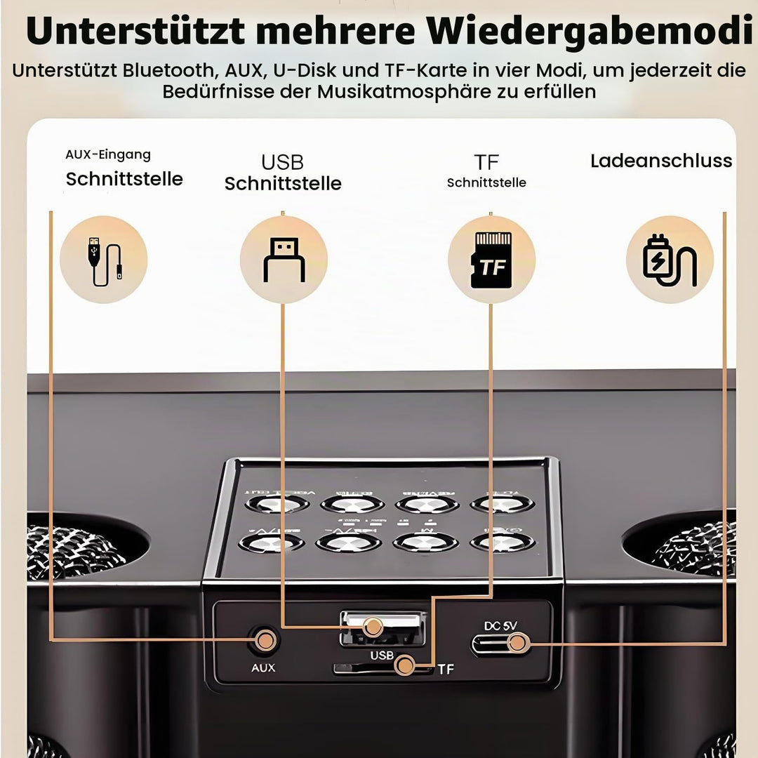 Karaoke Maschine mit 2 Mikrofonen, Tragbare Bluetooth Lautsprecher Box für Erwachsene und Kinder, Ka