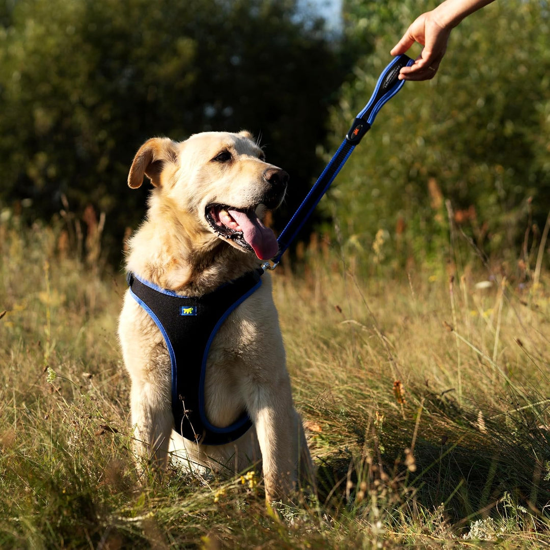 Ferplast grosses Hundegeschirr ERGOCOMFORT Large, verstellbares Hundegeschirr, bequem, gepolstert, d
