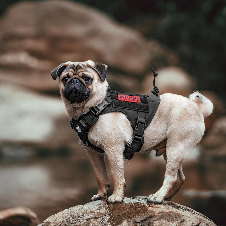 OneTigris Hundegeschirr, FIRE WATCHER Taktische Geschirr Sicherheitsgeschirr Hunde Hundeweste mit 1
