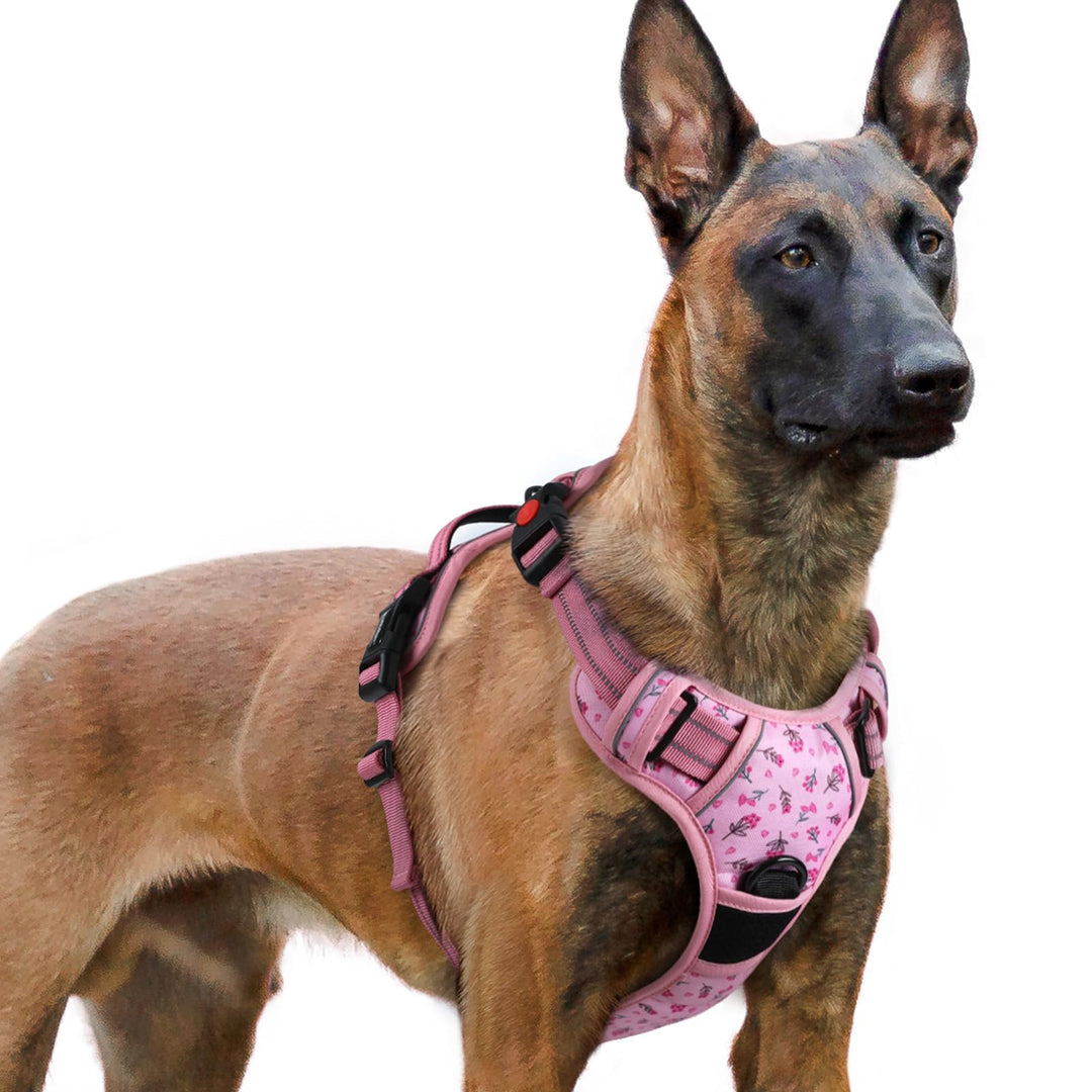 rabbitgoo Hundegeschirr Grosse Hunde, Verstellbare Geschirr Hund ohne Zug & Würgen, Anti Zug Hundege