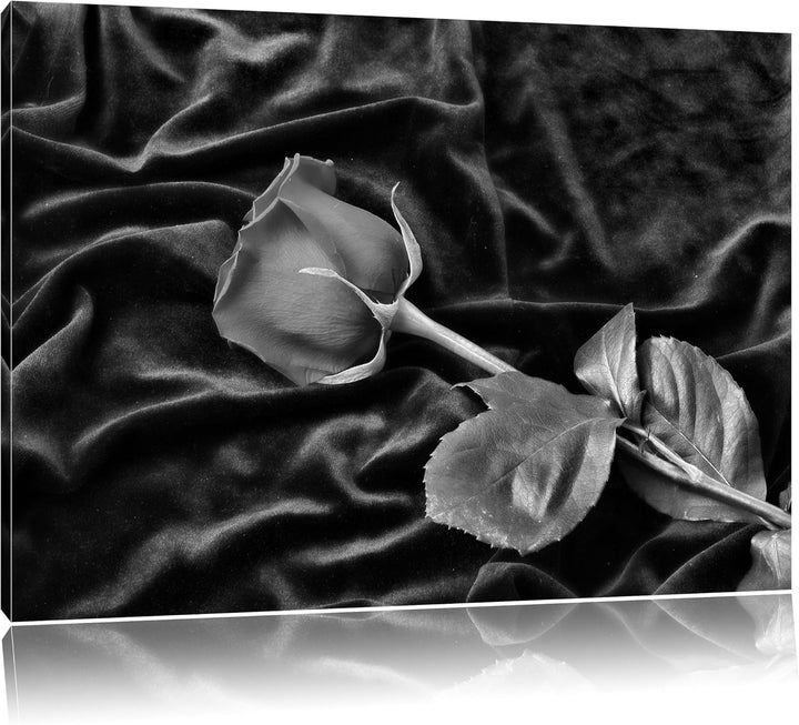 Monocrome, Rose, Format: 100x70 auf Leinwand, XXL riesige Bilder fertig gerahmt mit Keilrahmen, Kuns