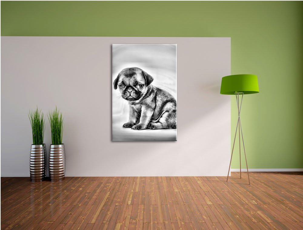 Pixxprint Kleiner Hundewelpe Mops als Leinwandbild/Grösse: 100x70 / Wandbild/Kunstdruck/fertig bespa
