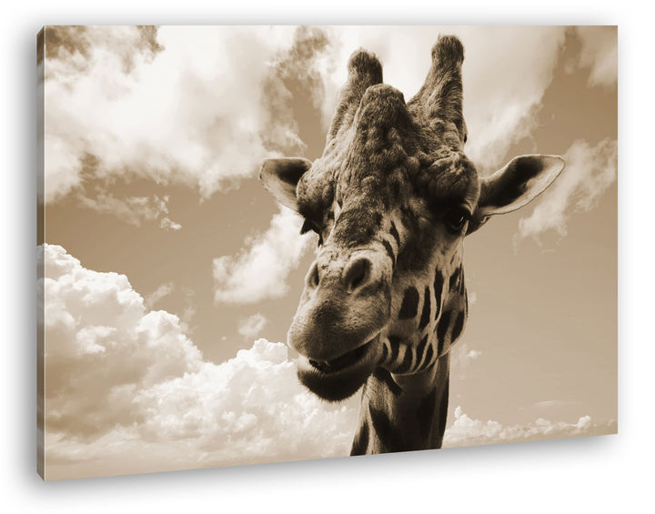 deyoli Fotogene Giraffe Format: 80x60 Effekt: Sepia als Leinwandbild, Motiv fertig gerahmt auf Echth
