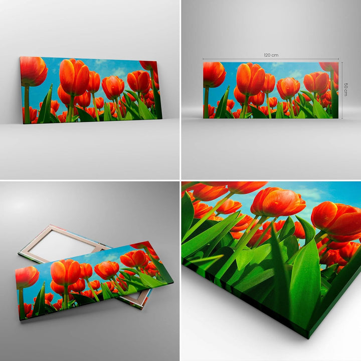 Wandbilder Dekoration Wohnzimmer Tulpe Blume blauer Himmel Panorama Bilder auf Leinwand 120x50cm Lei