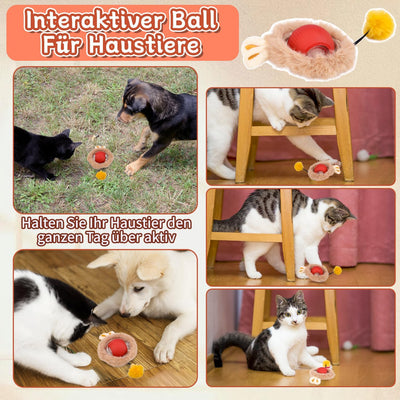 Katzenball Elektrisch, Interaktives Katzenball Spielzeug, Chewie Rolling Ball, Interaktives Hunde Ba