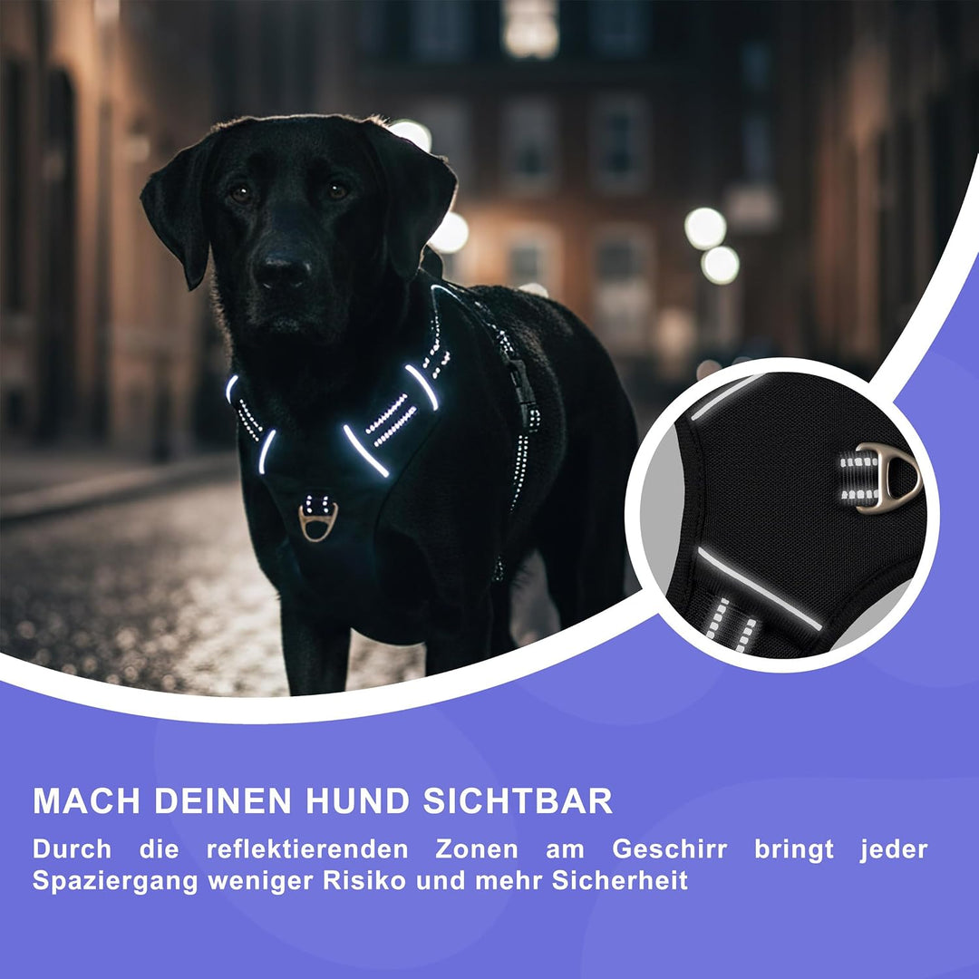 Reichstadt Pets Hundegeschirr Mini Hunde 25RSP083 Black XS | Verstellbares No-Pull Geschirr mit Grif