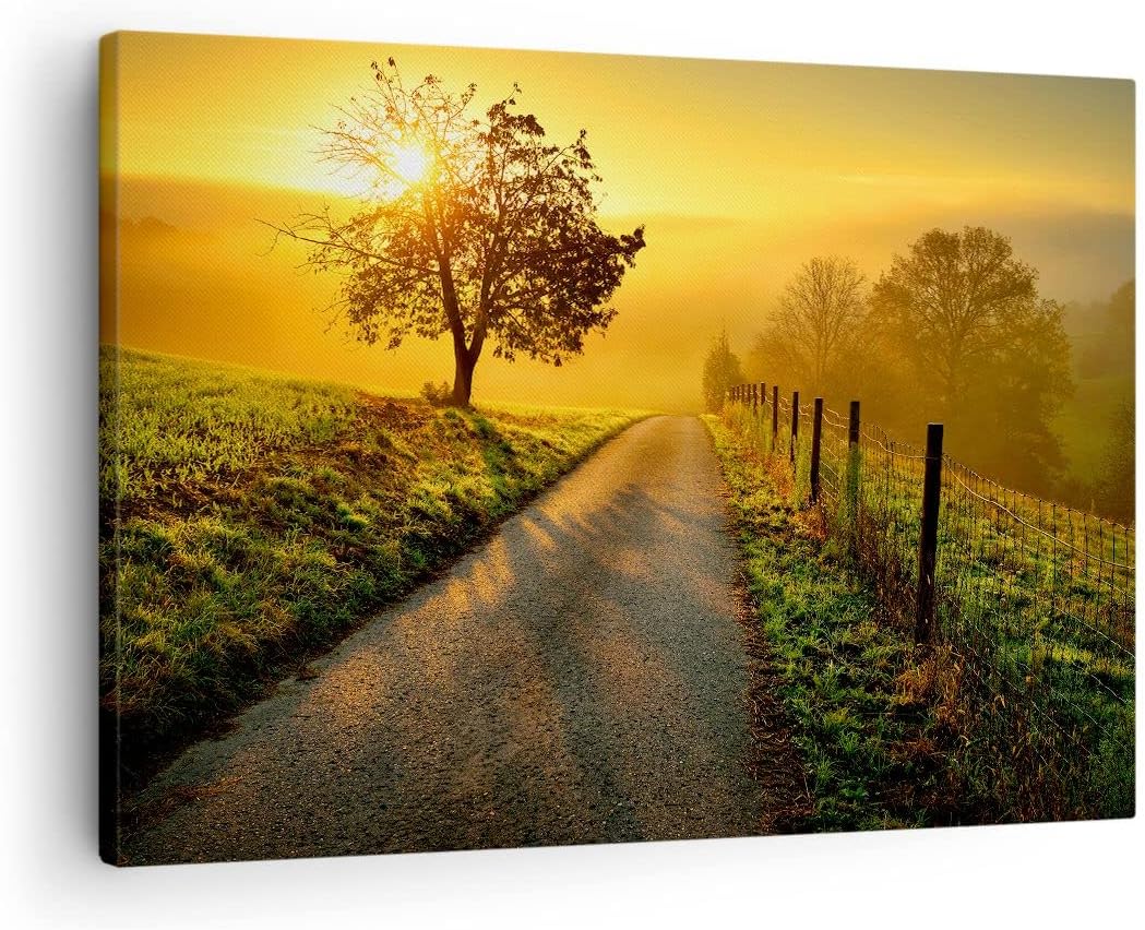 Bilder auf Leinwand Feld Strasse Baum Leinwandbild mit Rahmen 70x50cm Wandbilder Dekoration Wohnzimm