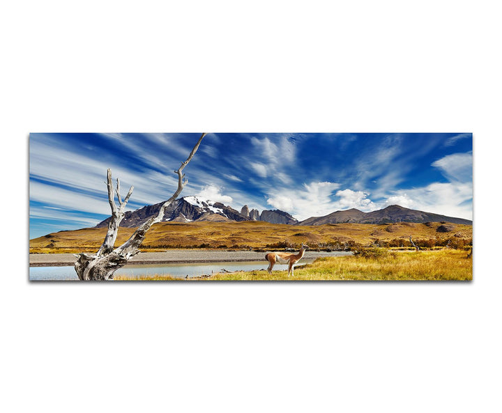 Paul Sinus Art Panoramabild auf Leinwand und Keilrahmen 150x50cm Chile Patagonien Nationalpark Lands