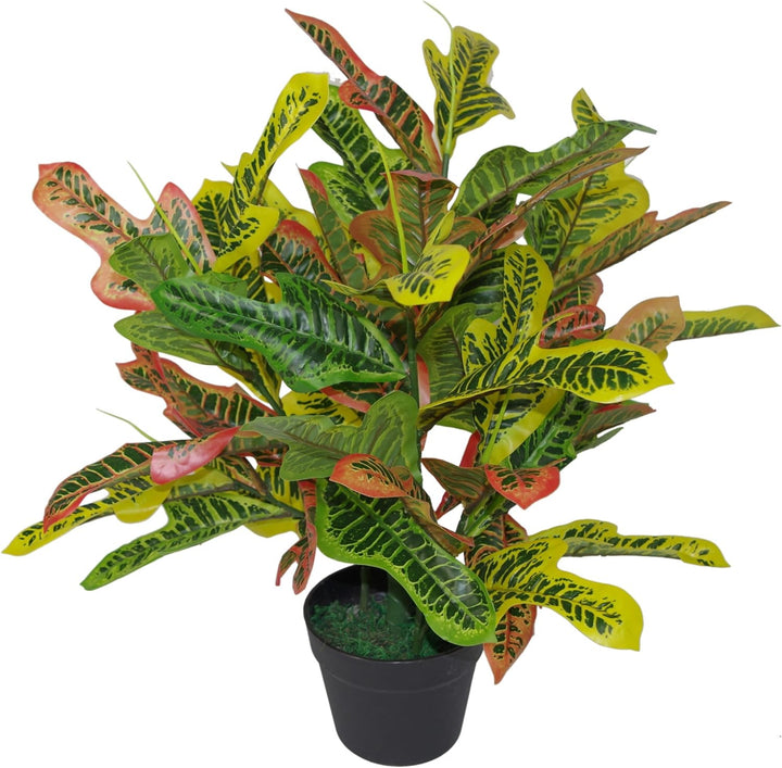 Leaf Kunstpflanze für Kodiäum, 65 cm, Mehrfarbig 65cm Codiaeum 65cm Codiaeum, 65cm Codiaeum 65cm Cod