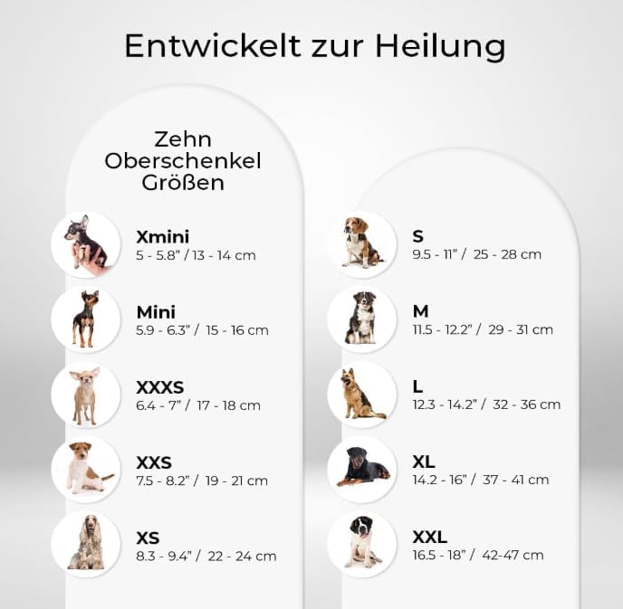 Ortocanis - Ellbogenbandage für Hunde mit Arthrose, Verletzungen, Hygromen oder Bursitis, Grösse M,