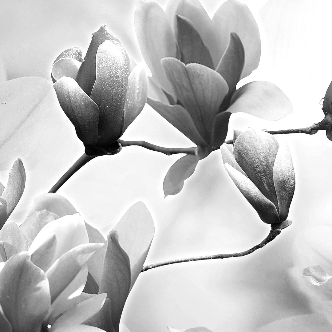 Runa Art Wandbilder Blumen Magnolien 5 Teilig Bild auf Vlies Leinwand Deko Wohnzimmer Schmetterling