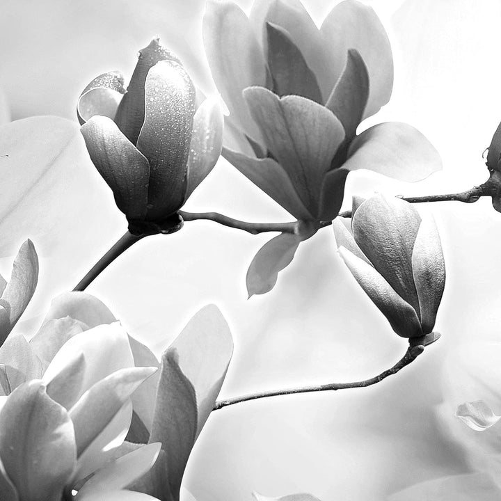 Runa Art Wandbilder Blumen Magnolien 5 Teilig Bild auf Vlies Leinwand Deko Wohnzimmer Schmetterling
