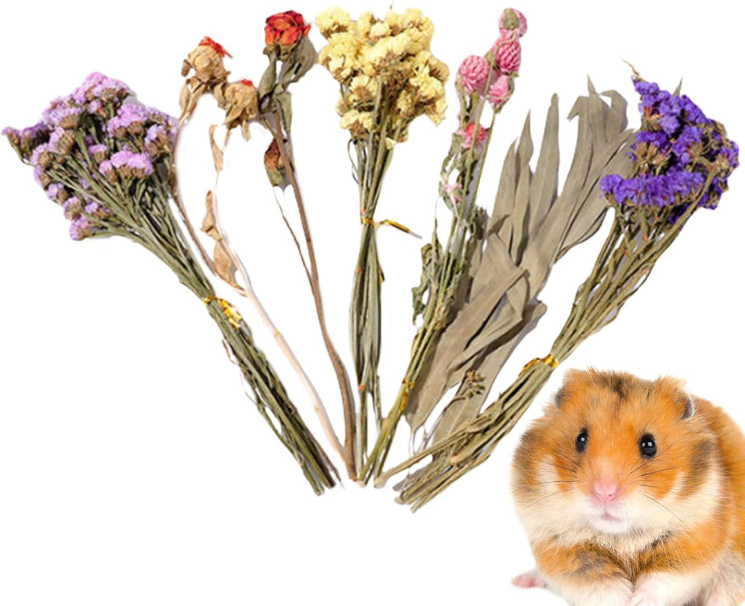 Hamster Trockenblumen Einstreu | Natürlich Getrocknete Und Pflanzen | Hamster-Blumenbettwäsche | Für