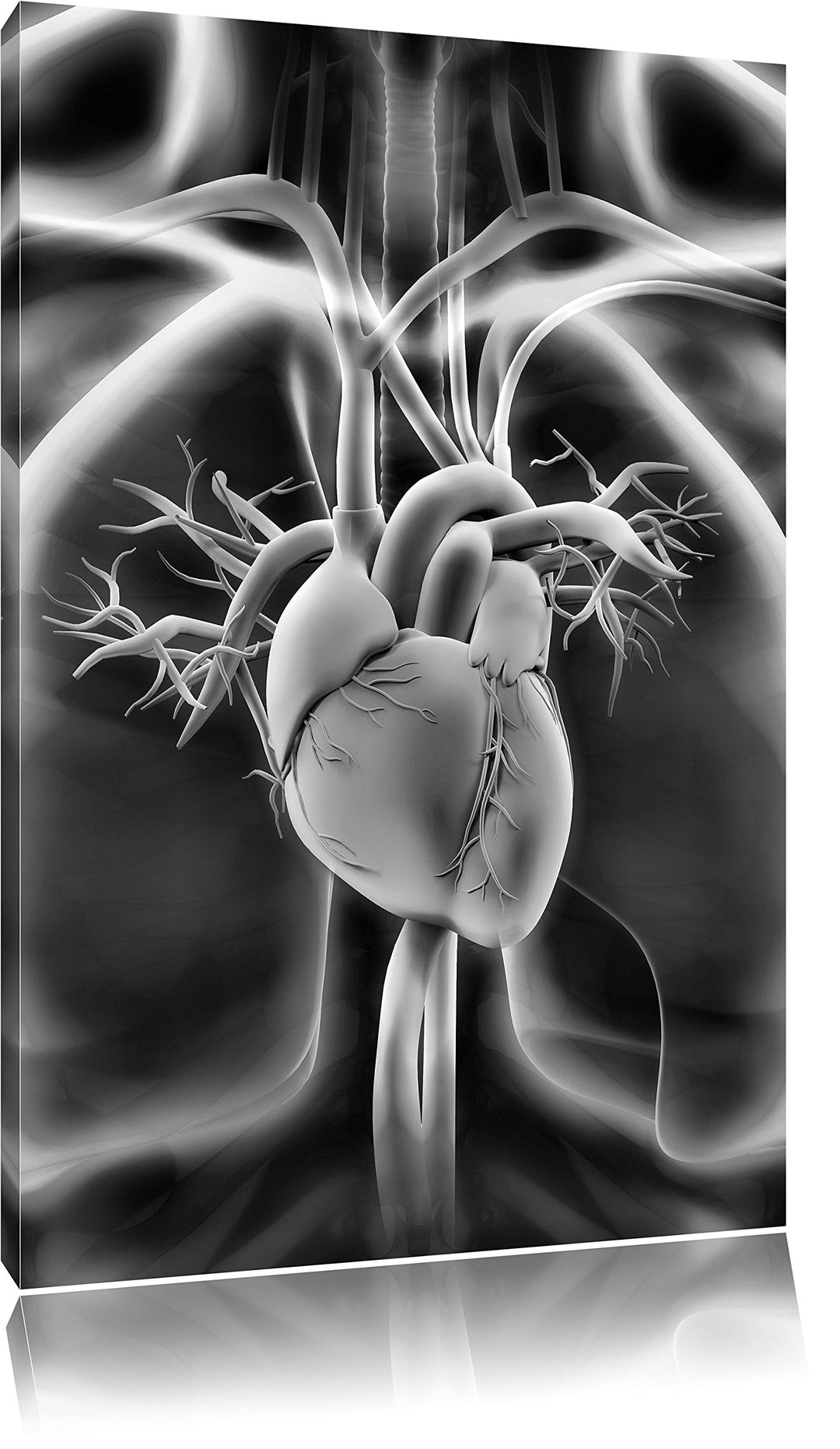 Pixxprint Herz des Menschen als Leinwandbild/Grösse: 100x70 cm/Wandbild/Kunstdruck/fertig bespannt,