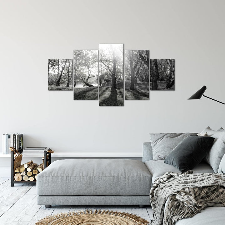 Runa Art Bild Schlafzimmer Wohnzimmer Wald Landschaft 5 Teilig Sonne Schwarz Weiss Wandbilder auf Vl