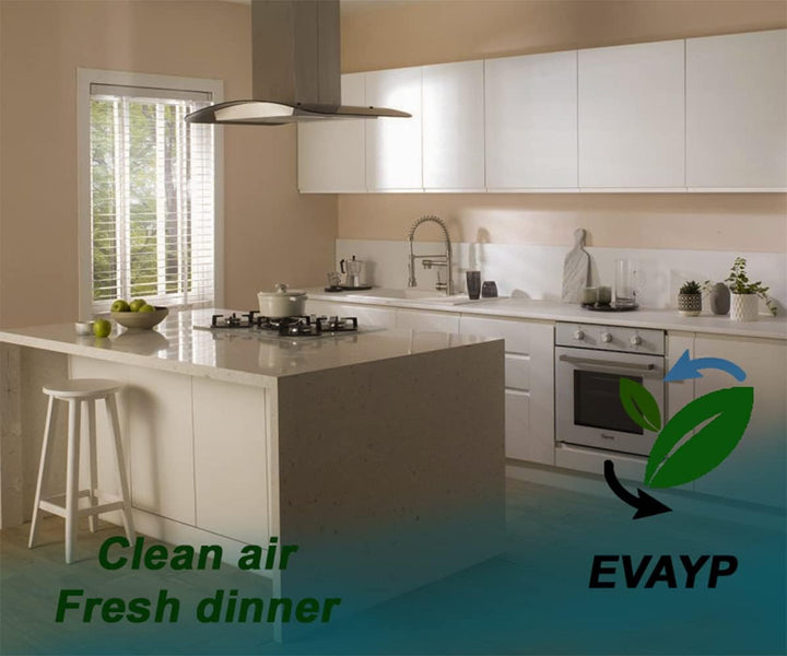 EVAYP / 2x Aktivkohlefilter / 00796390 796390 DHZ5276 LZ52751 Z5138X1 / Passend für Bosch Siemens Ne