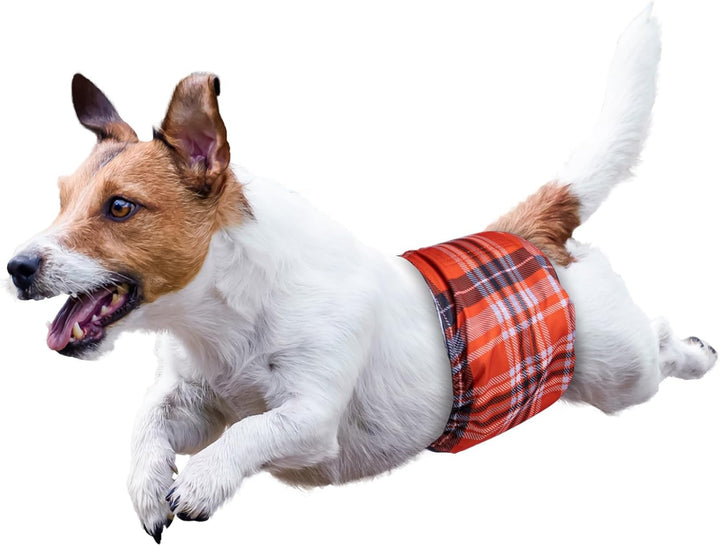 MICOOYO Waschbare Bauchbinden für Rüden | Wiederverwendbare Hundewindeln | Saugfähige Doggy Wraps mi
