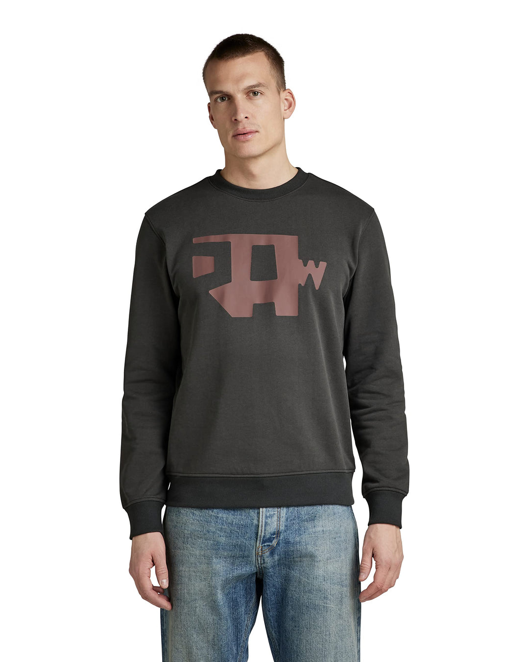 G-STAR RAW Herren Multi Colored Raw. R Sw Sweater L Grau (Cloack D22230-a613-5812), L Grau (Cloack D