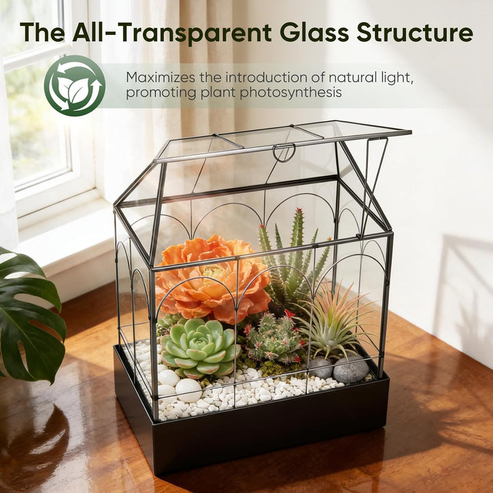 Mini Gewächshaus, 24x14,5x28cm Terrarium mit Aufklappbarem Glasdeckel, Volltransparentem Glas und Bo