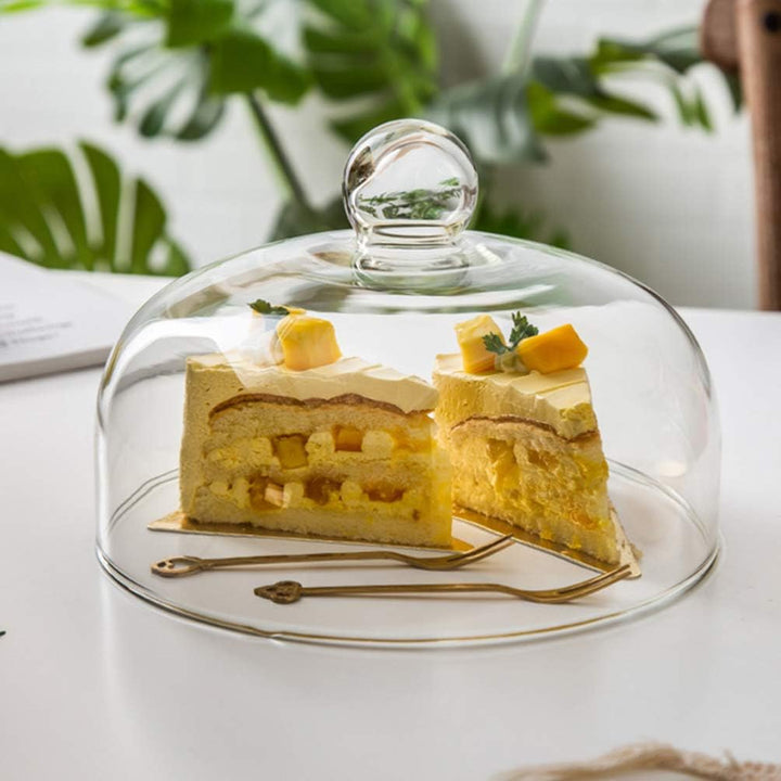 DOITOOL Glas Kuchen Kuppel Abdeckung Klar Staubdicht Runde Kuchen Kuppel Abdeckung Lebensmittelplatt