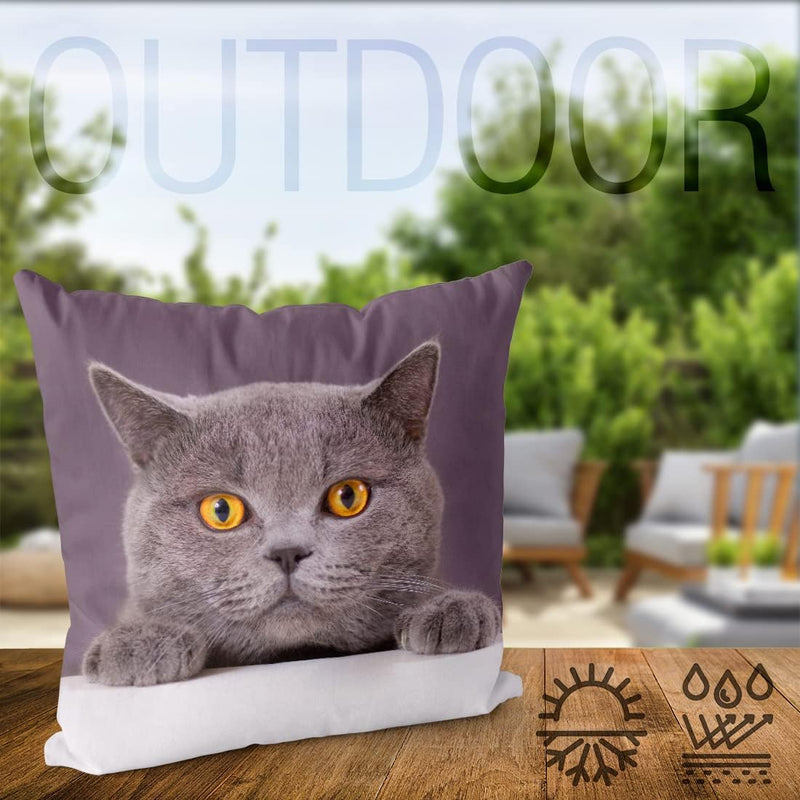 VOID Katze Britisch Kurzhaar Kissenbezug Kissenhülle Sofakissen Kissen Deko Outdoor-Kissen Dekokisse