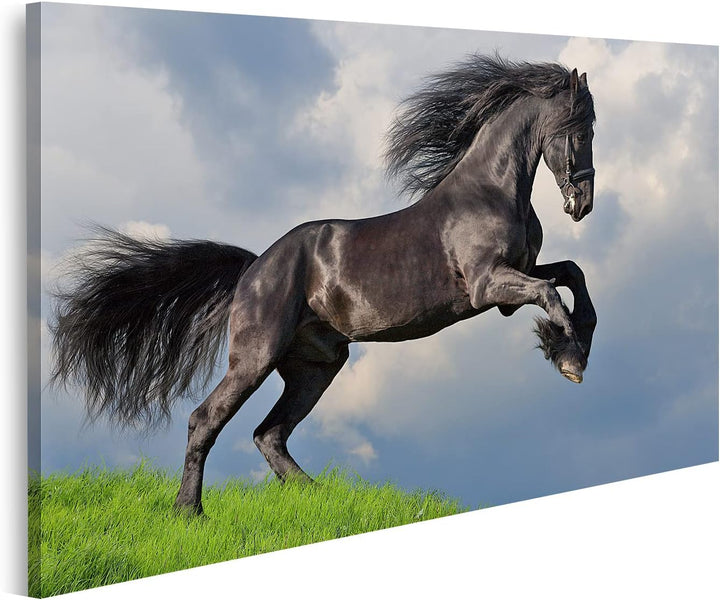 islandburner Bild auf Leinwand Friesisches Pferd Galoppiert Bilder Wandbilder Poster Leinwand 80x40c