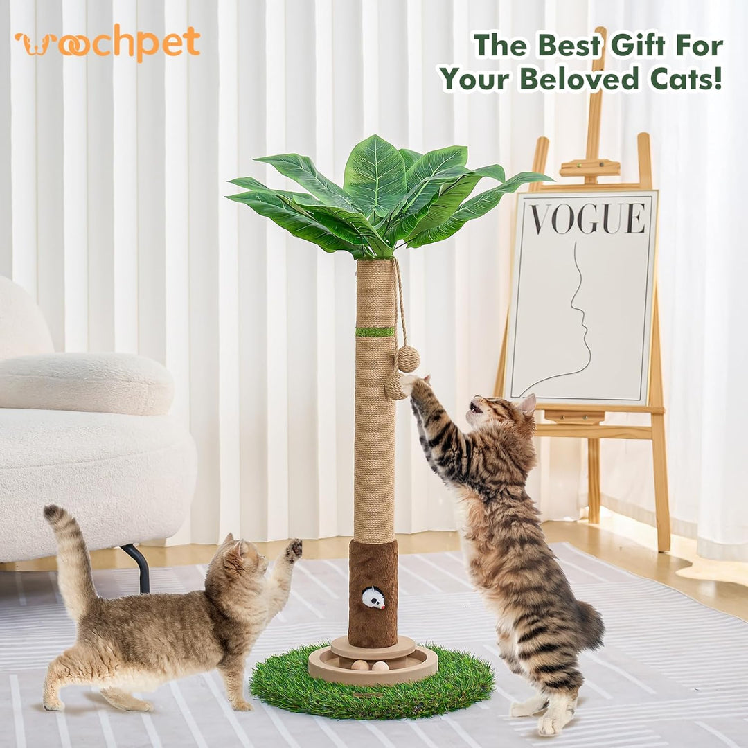 Katzenkratzbaum, 89,9 cm hoch, Katzenkratzbaum für Indoor-Katzen mit Katzenspielzeug, Mausloch und i