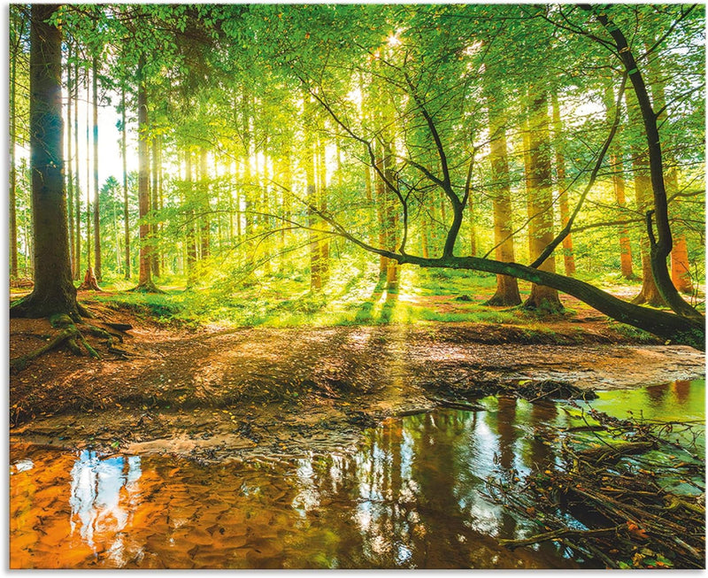 ARTland Spritzschutz Küche aus Alu für Herd Spüle 65x80 cm (BxH) Küchenrückwand mit Motiv Natur Land