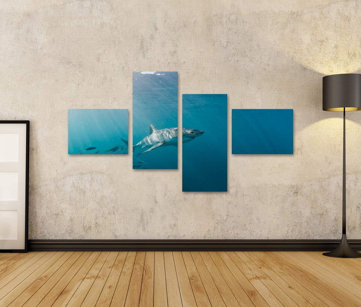 islandburner Bild auf Leinwand Grosser Weisser Hai Und Fischschwarm Bilder Wandbilder Poster Leinwan