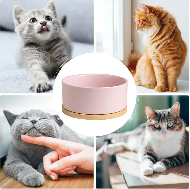 Pink Beheizter Wassernapf Für Hunde USB-beheizter Futternapf Thermostatisch Beheizter Trinknapf Ther