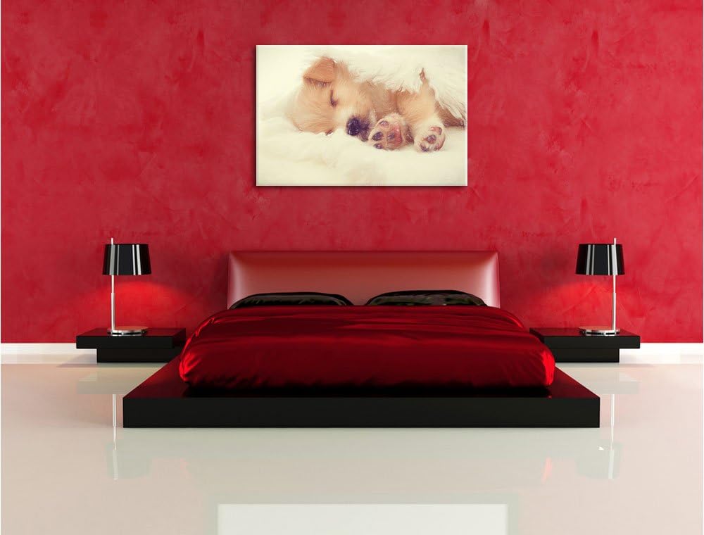 Pixxprint Kleiner schlafender Welpe als Leinwandbild/Grösse: 100x70 cm/Wandbild/Kunstdruck/fertig be
