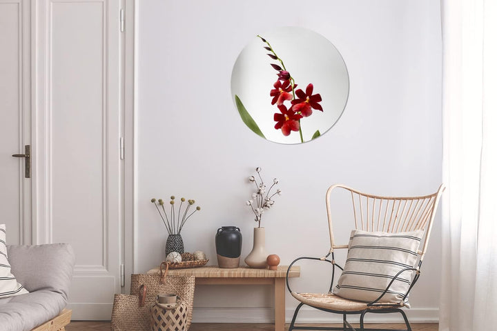 MuchoWow Wandbild Rund Wanddeko Deko Wohnzimmer Bilder 60x60 cm Rote Orchidee mit Blättern auf weiss