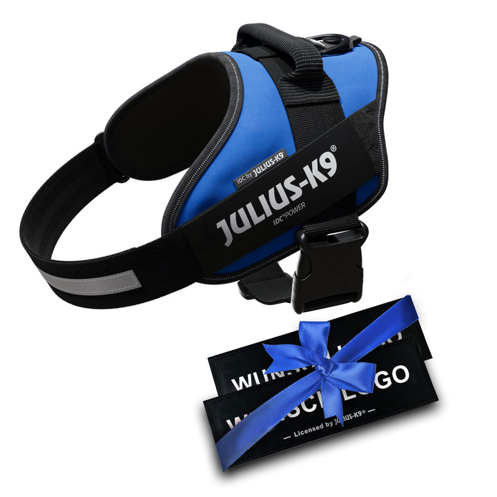 JULIUS K-9 IDC Powergeschirre Blau mit individuelle Klettaufschriften Bundle optionale Grösse, Klein