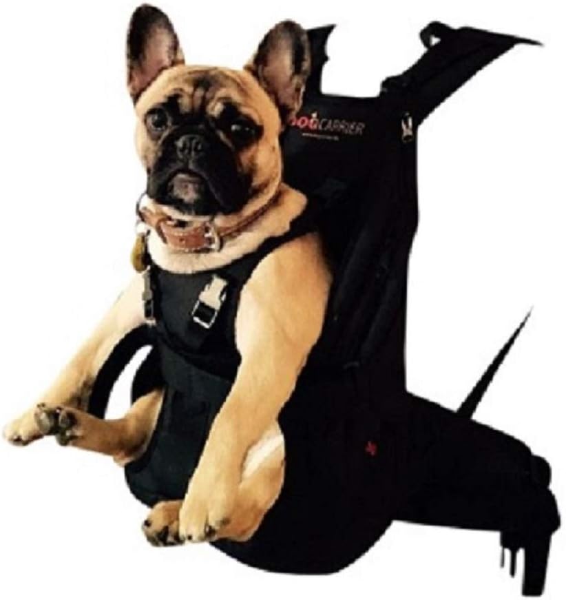 Patentierter PREMIUM XXL Leg free Hunderucksack - Hundetrage Hundetasche Rucksack für Hunde von 15-2