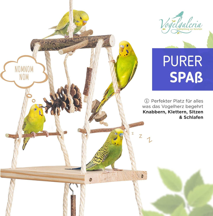 Atemberaubender Vogelspielplatz hängend mit vielen Sitzstangen ! Tolles Vogelspielzeug für Wellensit
