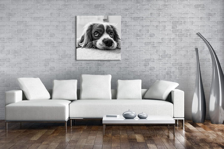zauberhafter Cocker Spaniel Effekt: Schwarz&Weiss Format: 60x60 als Leinwandbild, Motiv fertig gerah