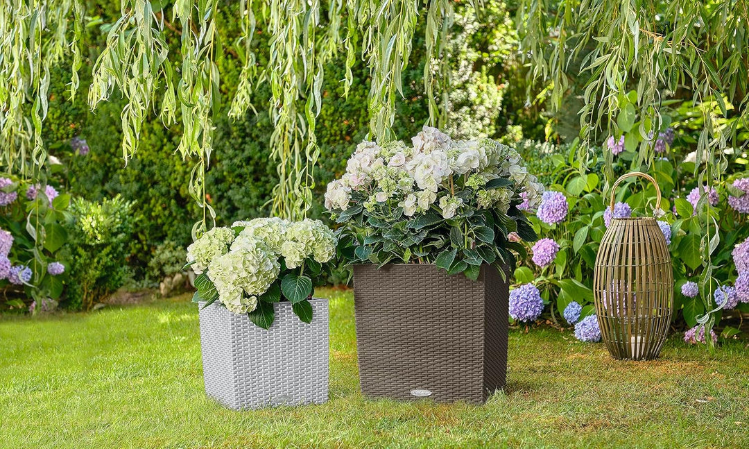 Lechuza Cube Cottage 30 Komplettset lichtgrau Pflanzgefäss mit Erd-Bewässerungs-System 29.5 x 29.5 x