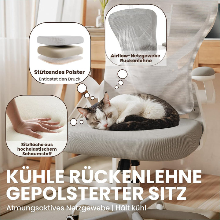 ALAULM Ergonomischer Bürostuhl mit Verstellbarer Lendenwirbelstütze und um 90° hochklappbaren Armleh