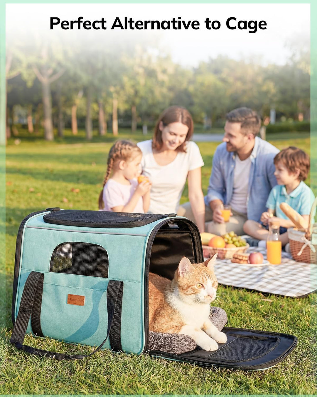 Morpilot Katzentransportbox für grosse Katzen und Welpen Katzenbox Hundetasche mit Sicherheit Reissv