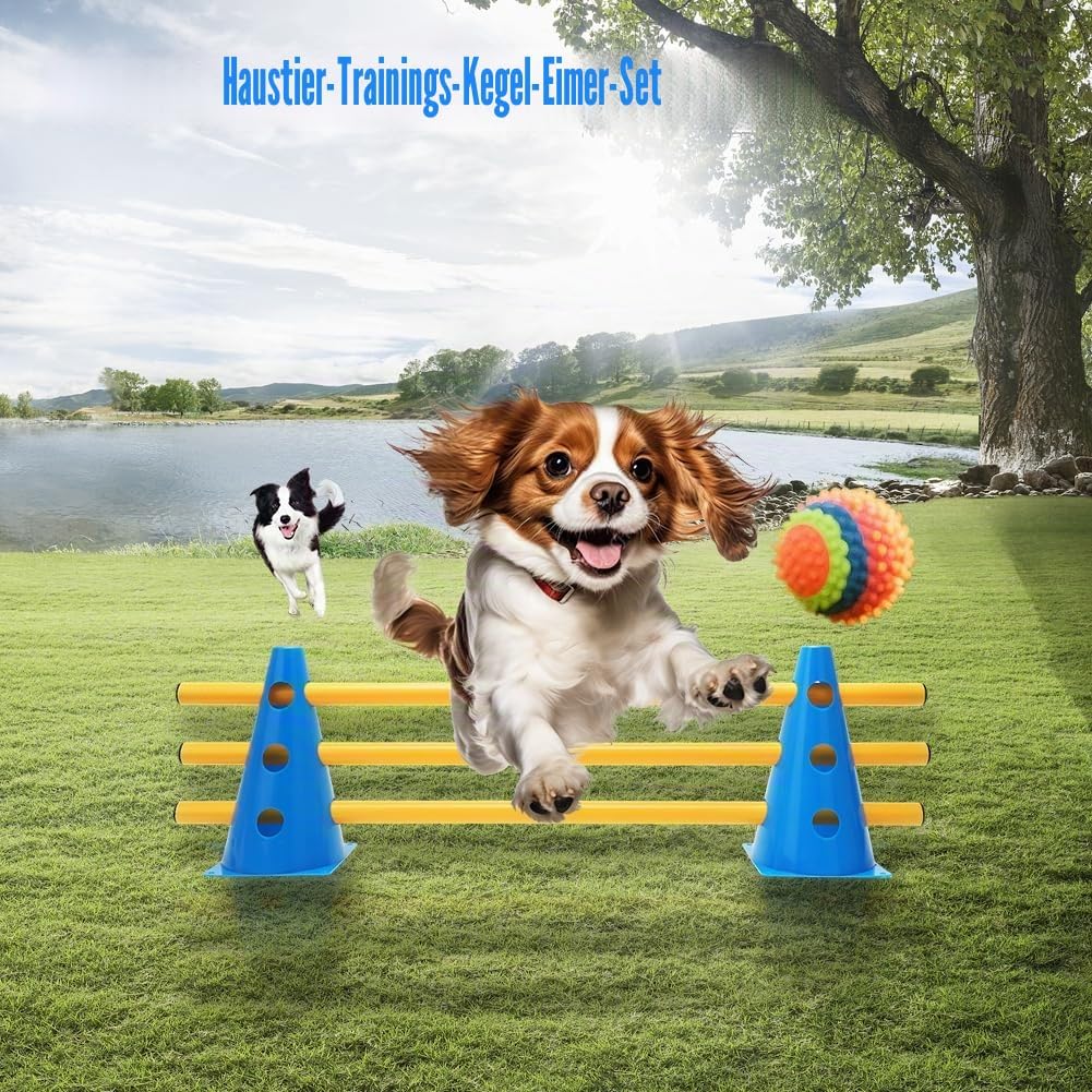RANJIMA Agility Set Hunde Klein, 5er Sports Steckhürdenset mit 10 Kegel 23cm &amp; 5 Stangen 80cm, Caval