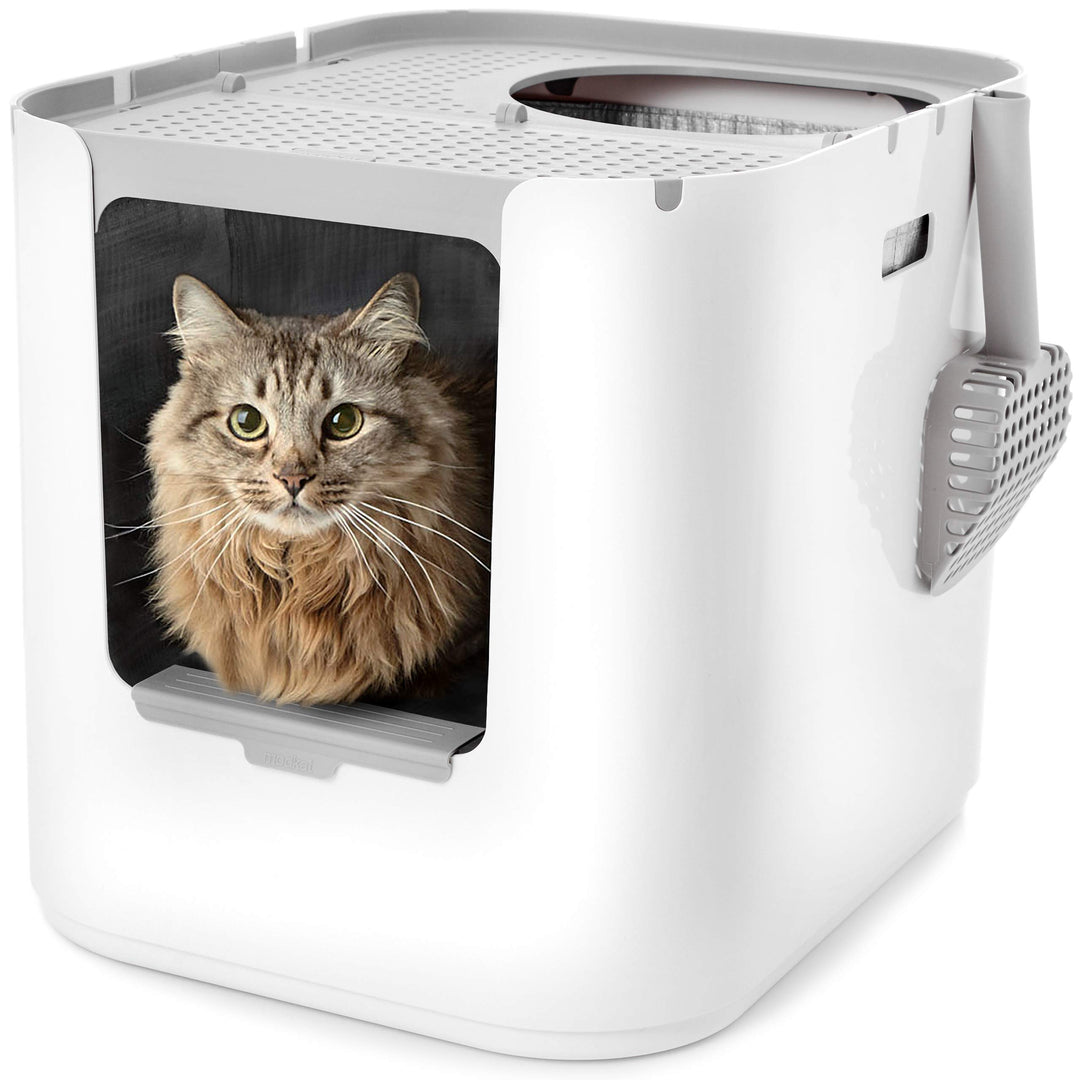 Modkat XL Katzenklo- Top-Entry oder Front-Entry konfigurierbar, Sieht gut aus, reduziert die Litter