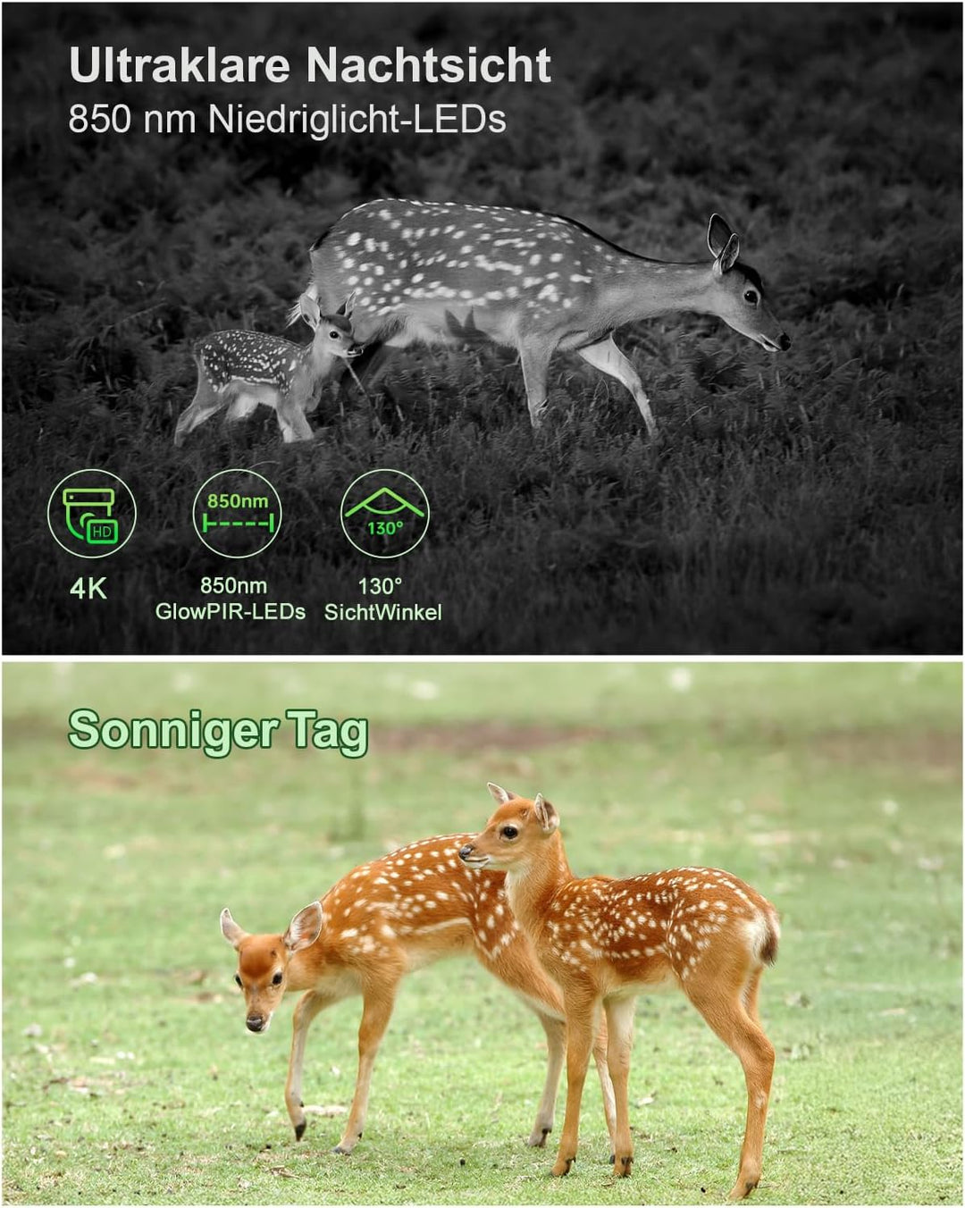 KJK 4K 84MP Wildkamera mit Handyübertragung APP, WLAN Bluetooth Wildkamera mit Bewegungsmelder Nacht