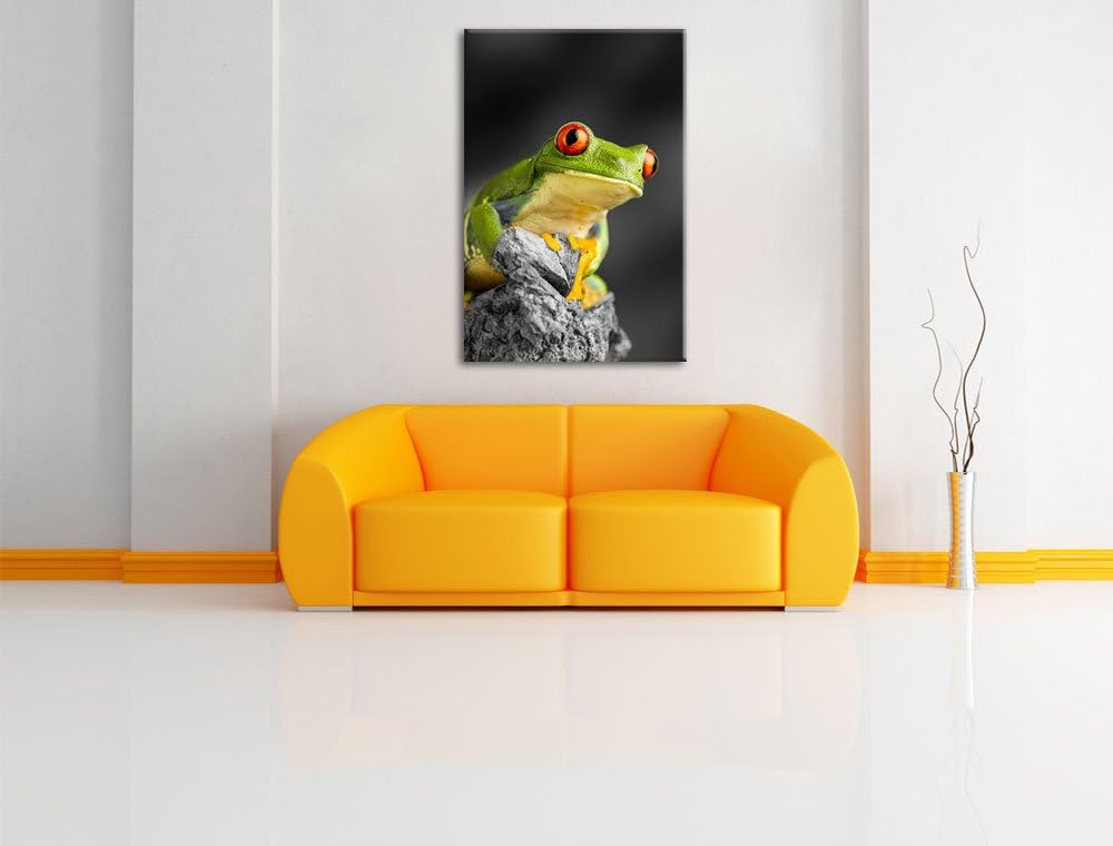 schöner Rotaugen Frosch schwarz/weiss Format: 100x70 auf Leinwand, XXL riesige Bilder fertig gerahmt