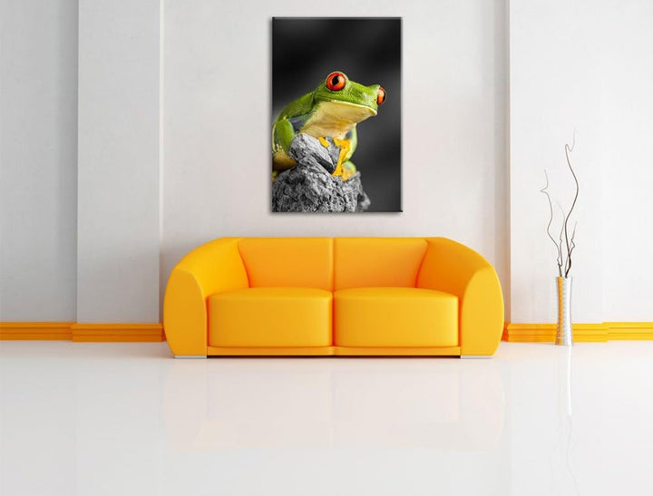 schöner Rotaugen Frosch schwarz/weiss Format: 100x70 auf Leinwand, XXL riesige Bilder fertig gerahmt