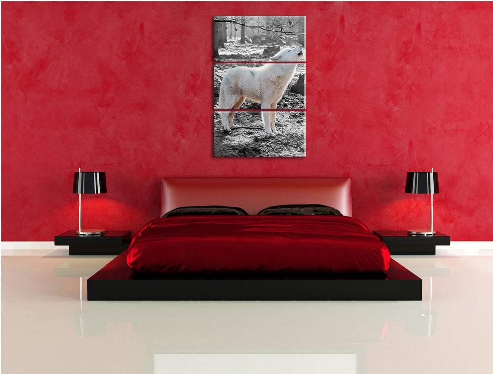 weisser jaulender Wolf im Wald schwarz/weiss 3-Teiler Leinwandbild 120x80 Bild auf Leinwand, XXL rie
