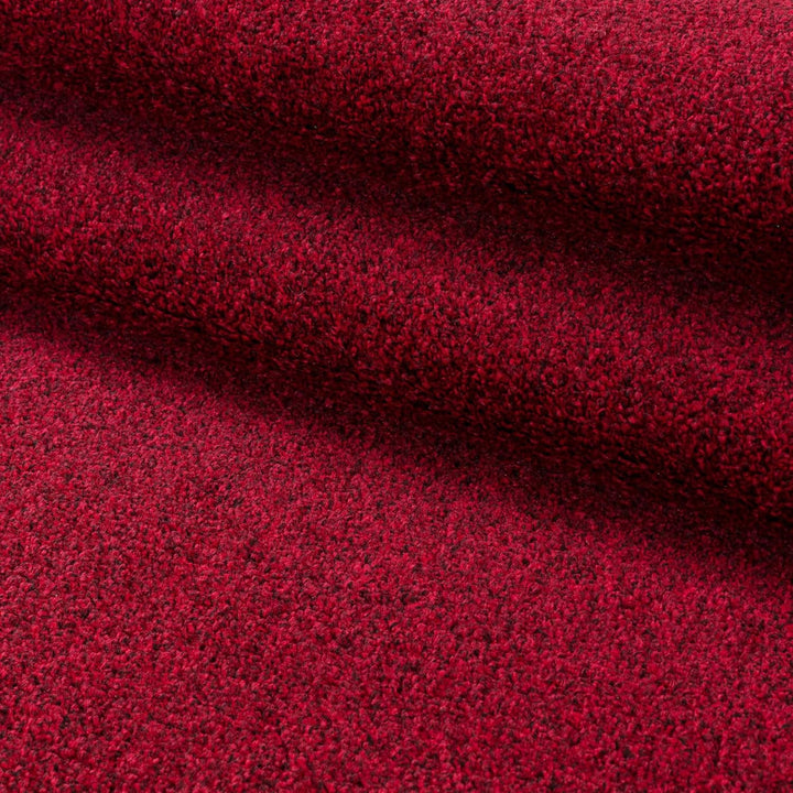 Carpetsale24 Wohnzimmer Teppich - Dichter Kurzflor, Einfarbig, Modern, Robust, Rechteckig und Rund -