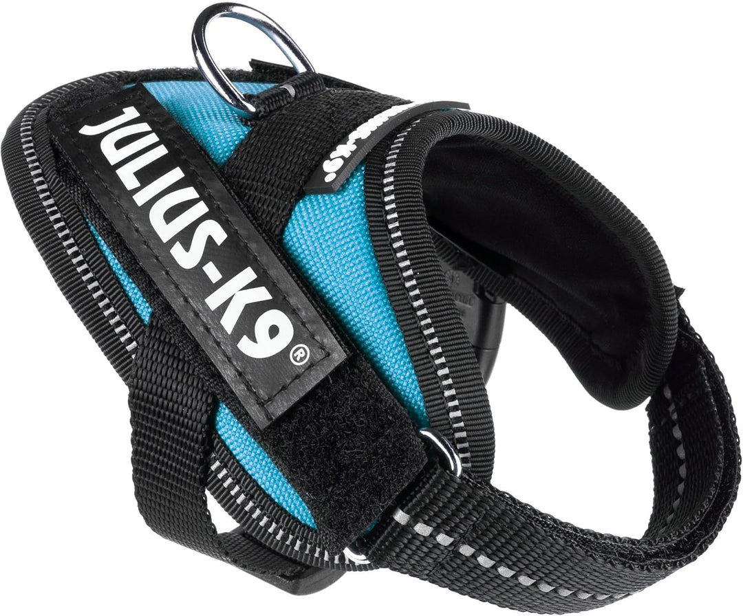Julius-K9, IDC Powergeschirr, Grösse: 3XS / Baby 1, Aquamarine Aquamarine 3XS / Baby 1, Aquamarine 3