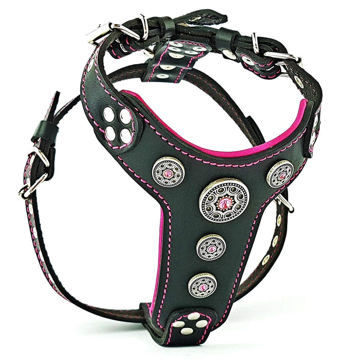 Bestia |Bijou| Leder Brustgeschirr für Kleine bis Mittelgrosse Hunde. 100% Leder. Handgefertigt. Top